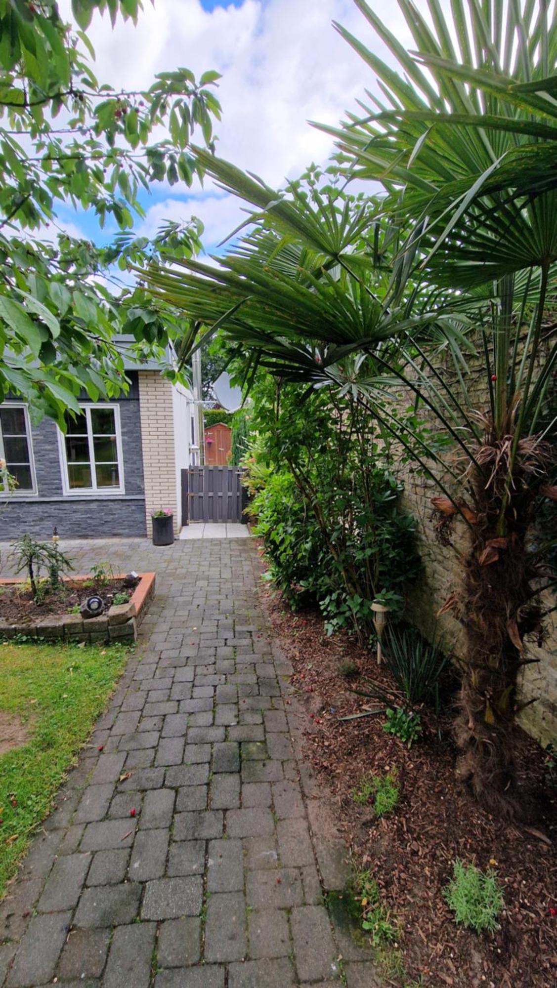 Hasenbau Flueren Villa Везел Екстериор снимка